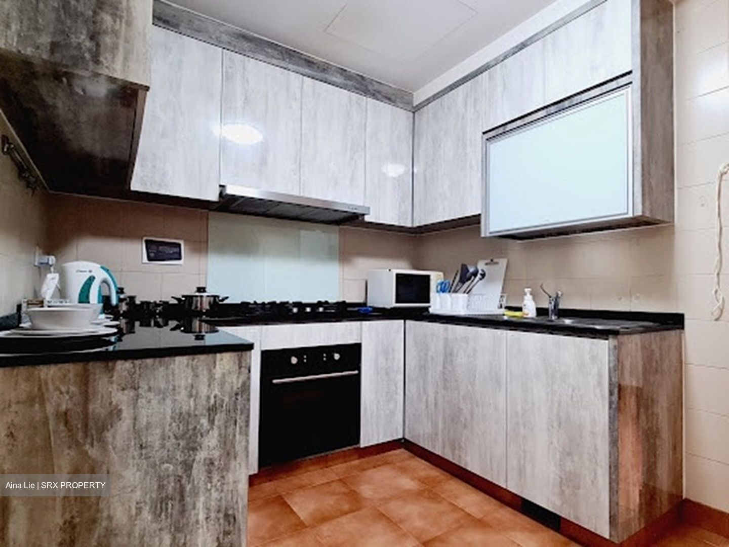 Modena (D18), Condominium #557922371